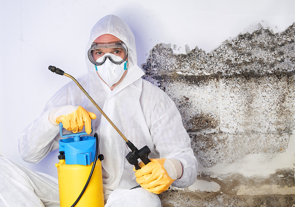 15 Interesting Facts About Mould