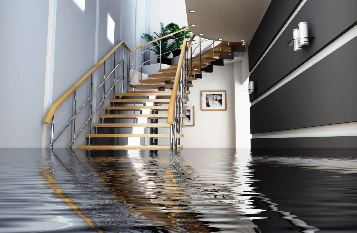 3 Must-Know Hazardous Types Of Water Damage & How To Remove Them