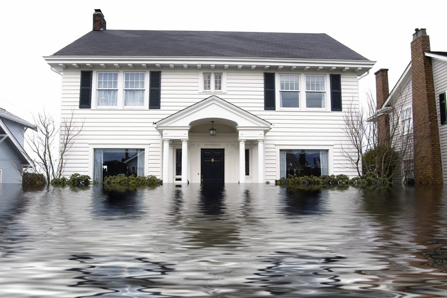 911 Water Damage Experts photo 1
