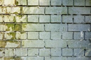 brick wall mold