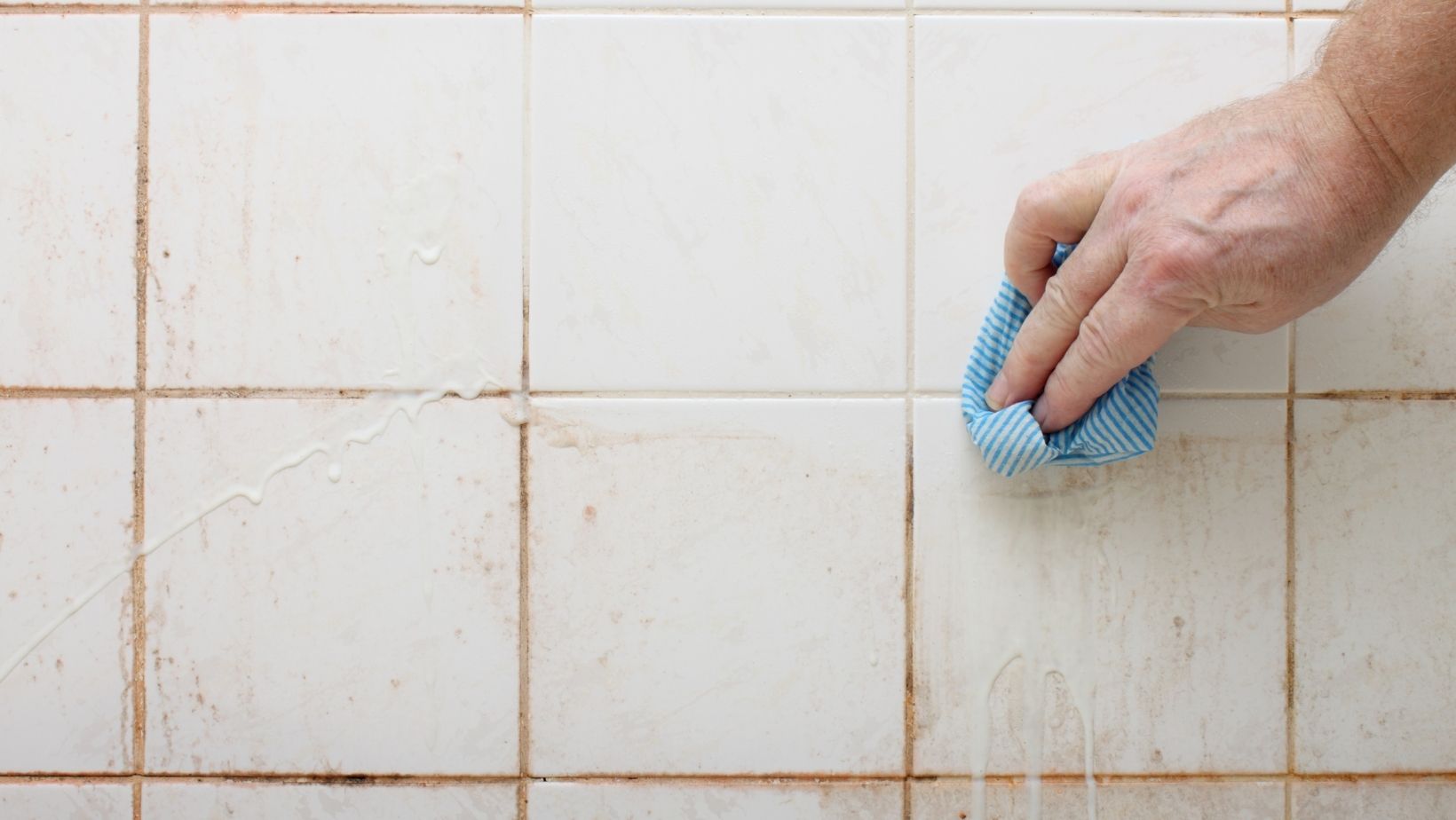Dangers Of Bathroom Mould And Tips On How To Clean And Prevent It