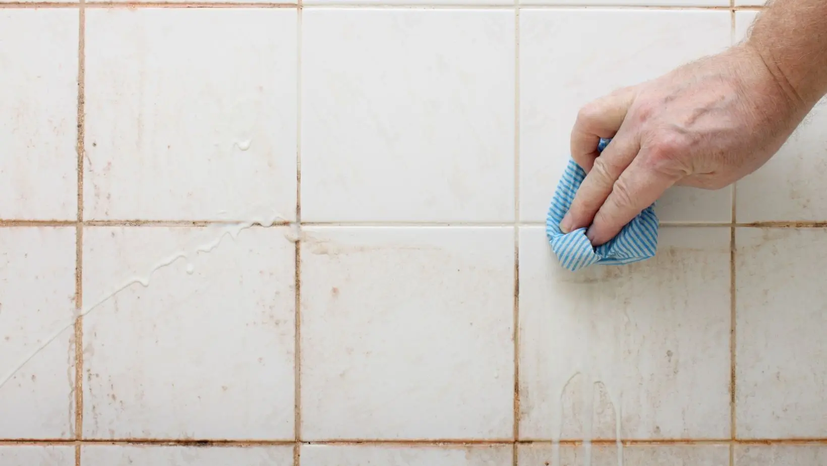 Dangers Of Bathroom Mould And Tips On How To Clean And Prevent It Dangers Of Bathroom Mould And Tips On How To Clean And Prevent It