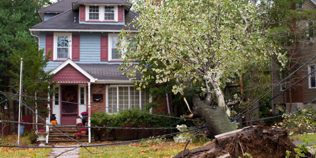 how-to-prevent-home-storm-damage-ultimate-guide