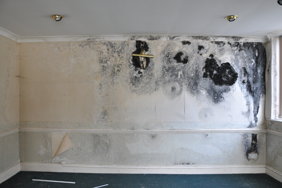 How To Prevent Mould Growth In The Winter