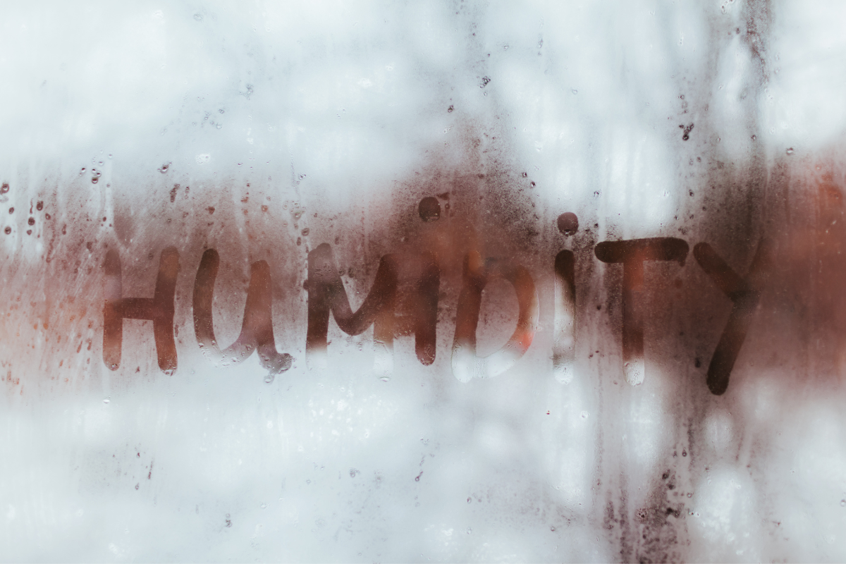 What Role Does Humidity Have In Water Damage And Mold Growth?