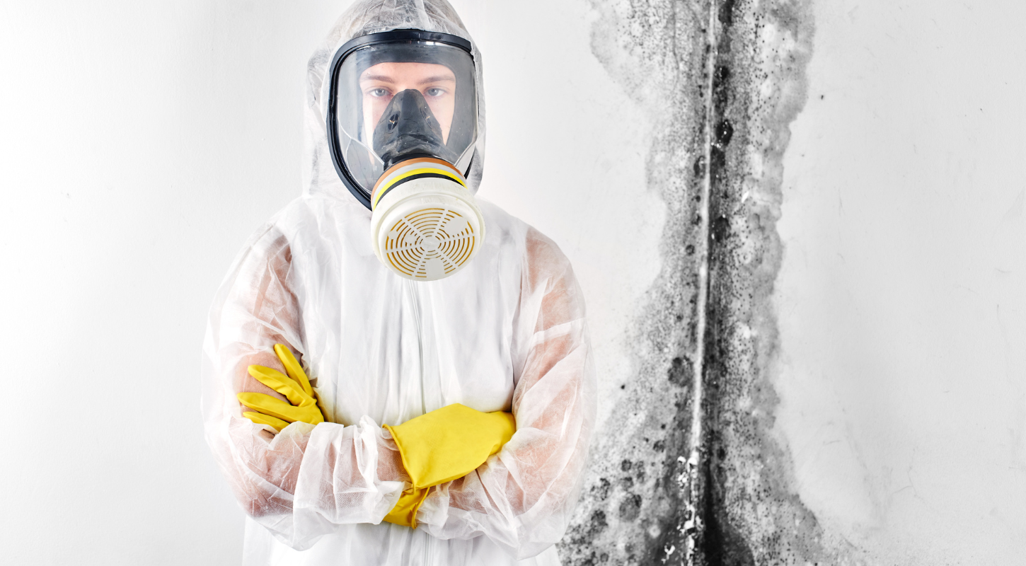 Mould Removal In Oshawa: We Answer The Top 100 Frequently Asked Questions