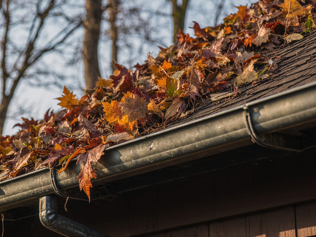 clogged gutter