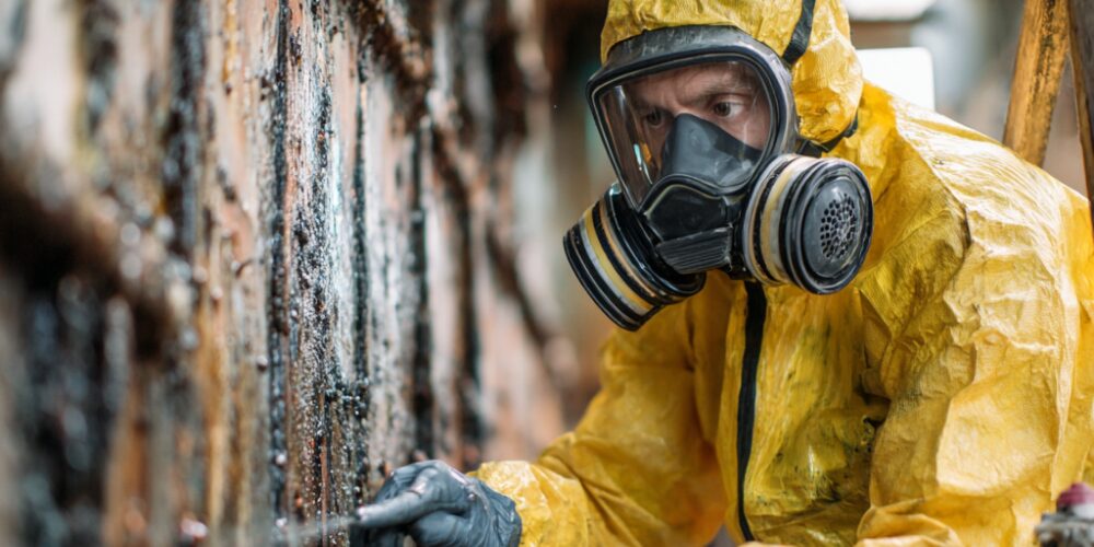 Mould Remediation Company: How To Hire A Mould Removal Company Near Oshawa